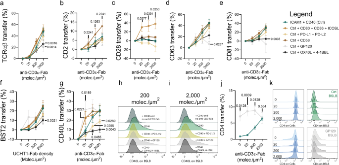 Fig. 4: Juxtacrine signals influence the tSV output of TH synapses.