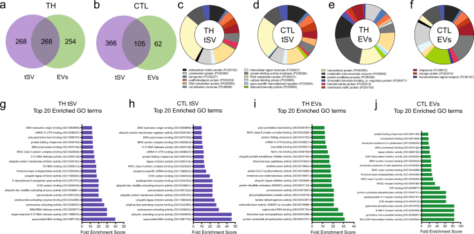 Fig. 6: tSV are enriched in proteins related to ubiquitination and RNA-binding proteins.