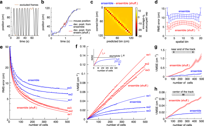 Fig. 2: Noise correlation limits the spatial information encoded in the neural ensemble.