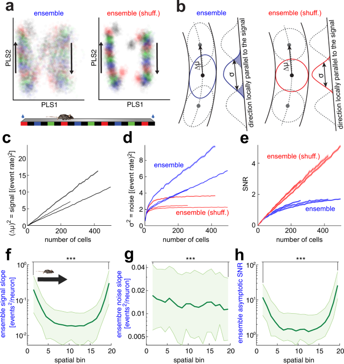 Fig. 3: Signal-to-noise ratio as a direct observable to measure the effect of noise correlations on the neuronal representation of the linear track.