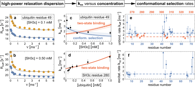 Fig. 2: From relaxation dispersion NMR data to binding mechanisms.