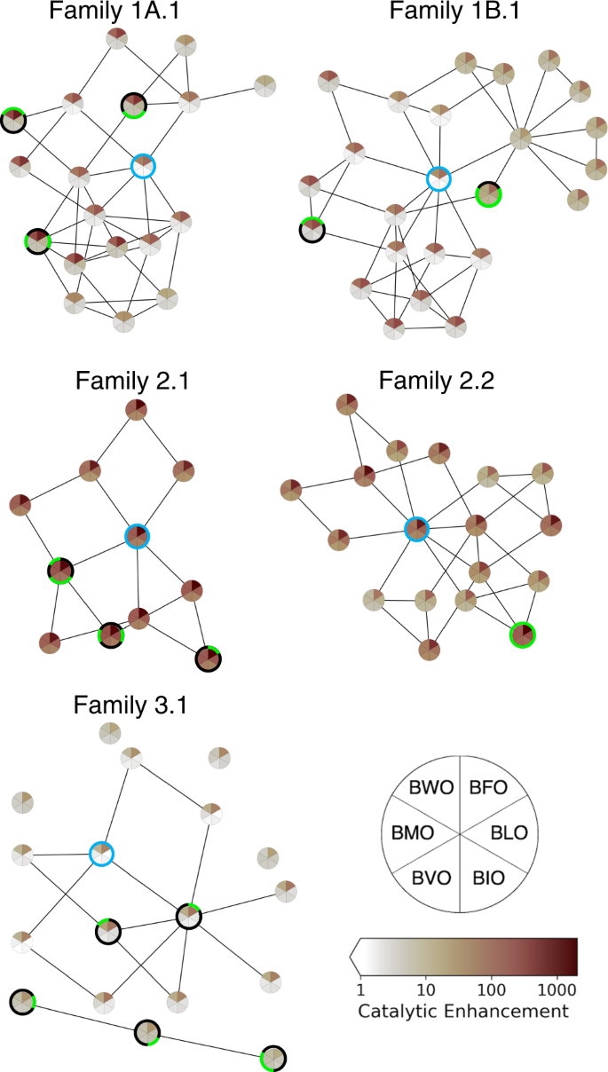 Fig. 6: Evolutionary pathways for increasing activity on different substrates.