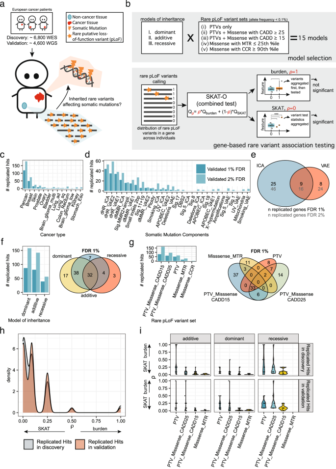 (PDF) Identification of de novo EP300 and PLAU variants in a