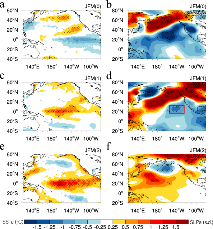 Fig. 2: Evolutions of SST and SLP anomalies composited for multi-year El Niño events over a 3 yr period derived from HadISST and NCEP1 SLP datasets.