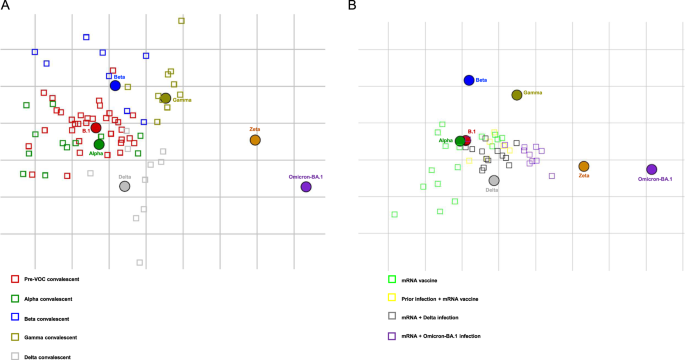 Fig. 3: SARS-CoV-2 antigenic cartography.
