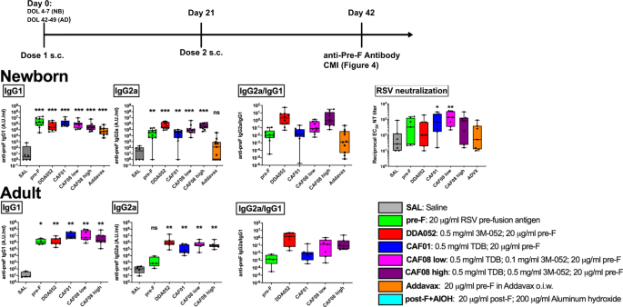 Fig. 3: RSV pre-F in liposomes adjuvanted with 3M-052 with or without TDB-induced potent IgG2a/c antibody responses in newborn and adult mice.