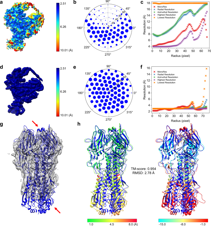 Fig. 8: Model building by EMBuild on an EM map with anisotropy.