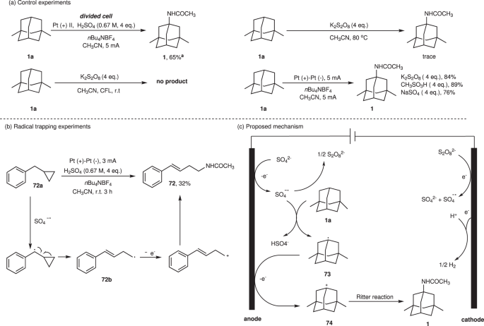 Fig. 6: Mechanistic studies.