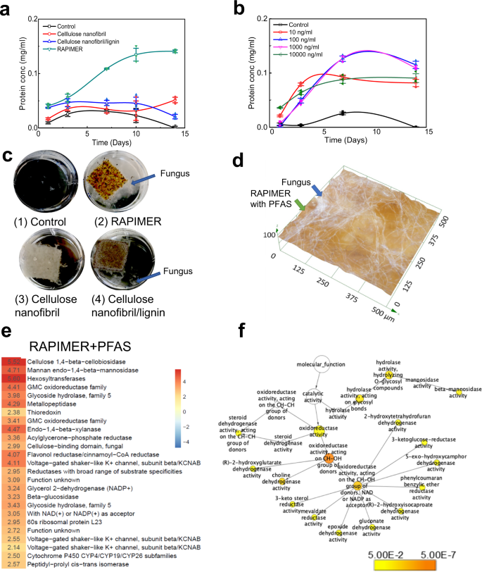Fig. 5: The assessment of fungal degradation of RAPIMER integrated system.