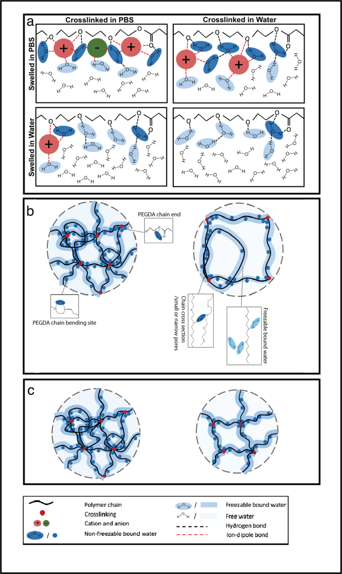 water molecule research paper figure 1