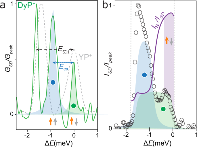 Fig. 5: Molecular polarization effect.