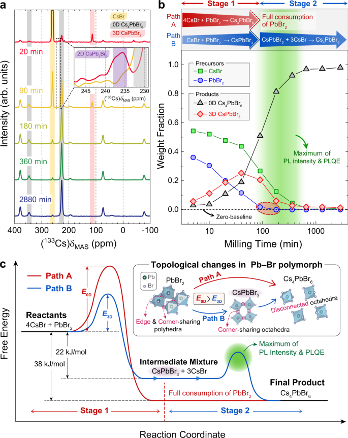 Fig. 4: Compositional evolution of Cs–Pb–Br polymorphs and the underlying kinetics of competing reaction paths.