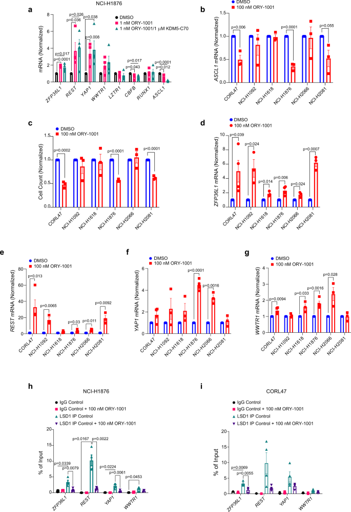 In situ hybridization analysis of mRNAs for Egam1c and the Prl gene