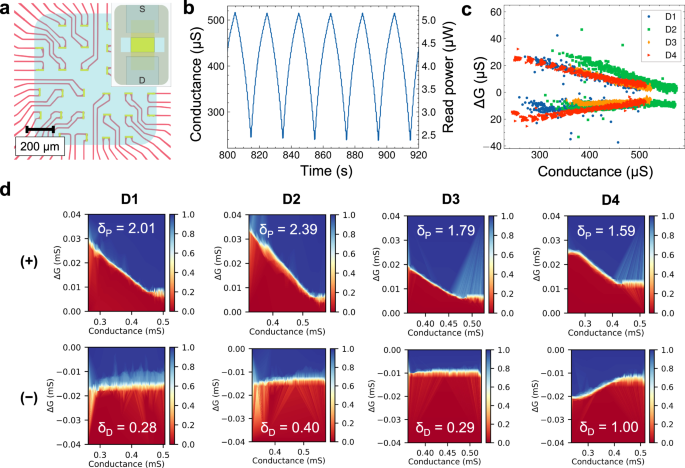 Graphene Dynamic Synapse with Modulatable Plasticity