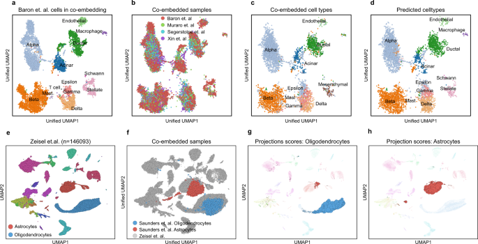 Fig. 6: Co-embedding multiple datasets and cell type-specific mapping with Scarf.