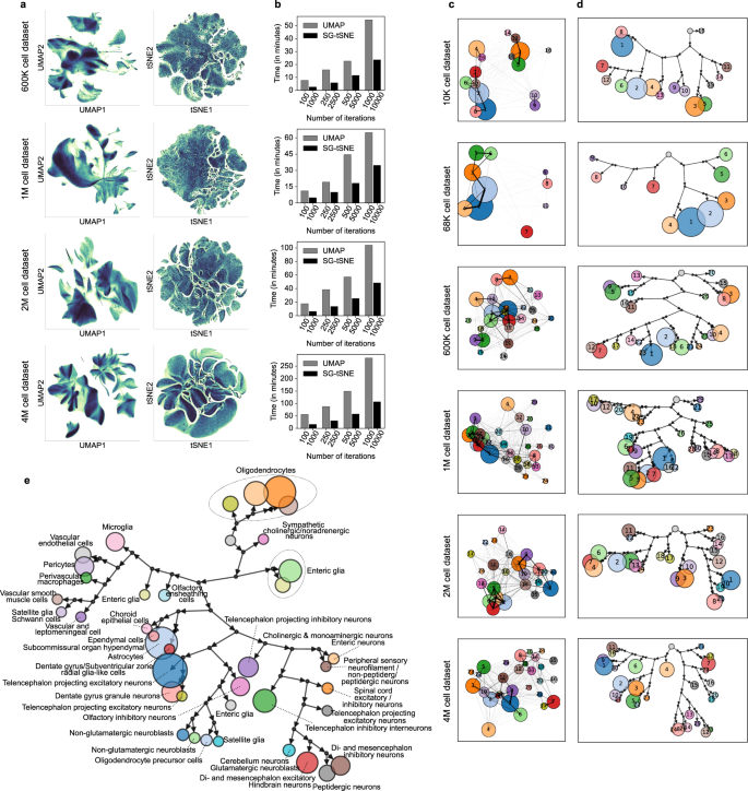 Fig. 7: SG-tSNE and Paris hierarchical clustering on single-cell datasets.