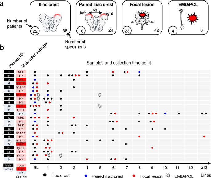Fig. 1: Patient characteristics, sample origin, and collection time points.
