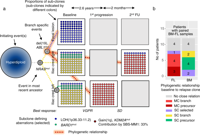 Fig. 3: Phylogenetic relationship between baseline and relapse clones.