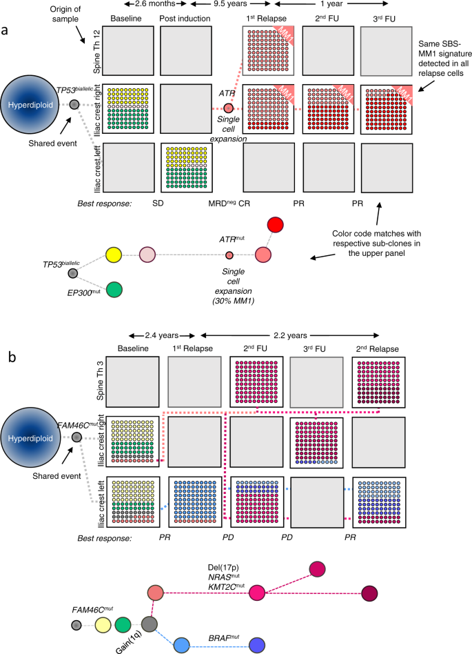 Fig. 4: Evolutionary patterns during treatment.