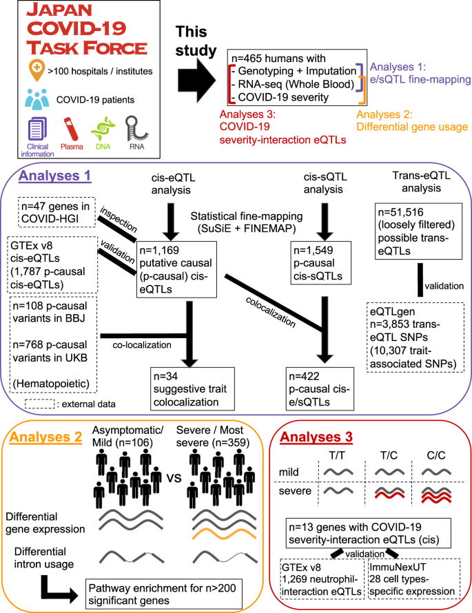 The whole blood transcriptional regulation landscape in 465 COVID-19  infected samples from Japan COVID-19 Task Force | Nature Communications