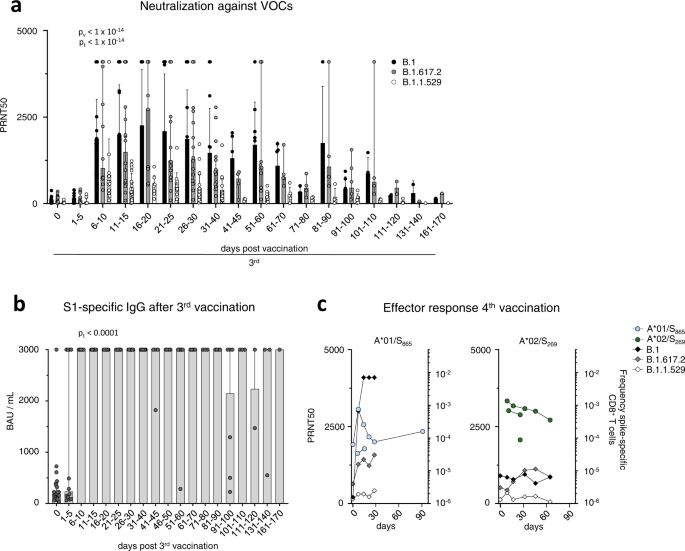Fig. 2: Humoral response after the 3rd vaccine dose.