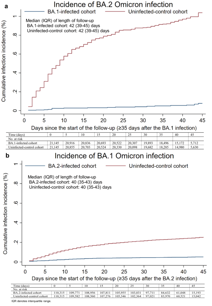 Fig. 3: Cumulative incidence of Omicron infections in the BA.1-against-BA.2 and BA.2-against-BA.1 studies.