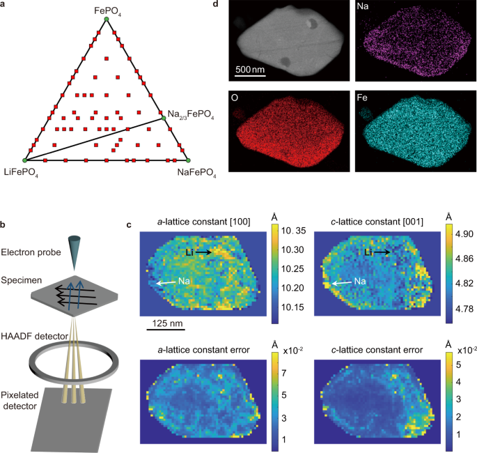 Fig. 1: Li and Na phase separation in FePO4 host.