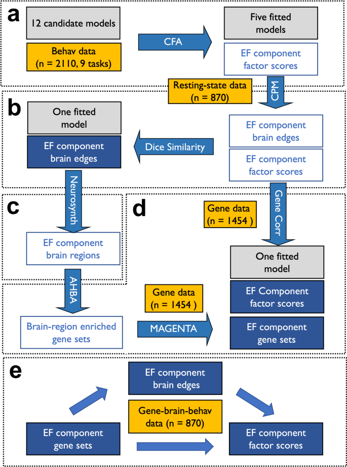 Fig. 1: Flowchart of this study.