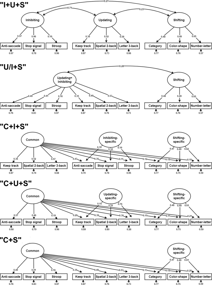 Fig. 2: EF latent variable models (the five good-fit models).