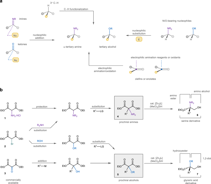 Fig. 1: Synthesis of chiral α-tertiary amines and tertiary alcohols.