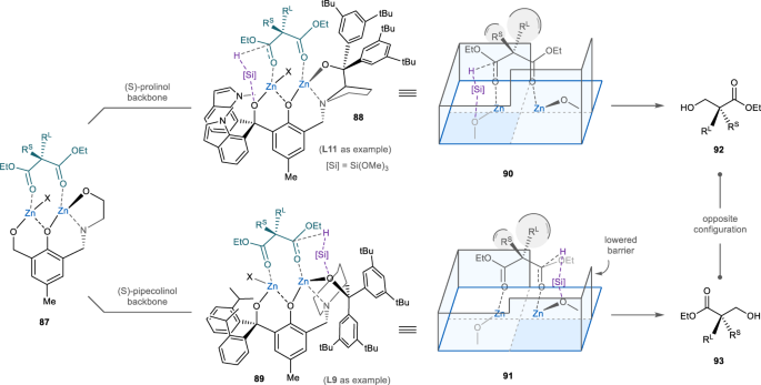 Fig. 6: Stereochemical consideration and proposal.