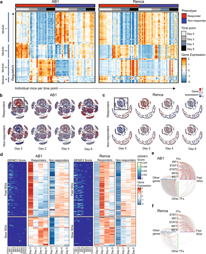 Fig. 3: Time-dependent changes in expression of a common subset of IFN regulators displaying on/fast-off kinetics distinguish ICB responders from non-responders.