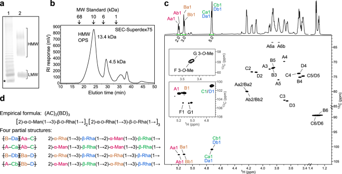 Fig. 1: Structure of the A. aeolicus O antigen.