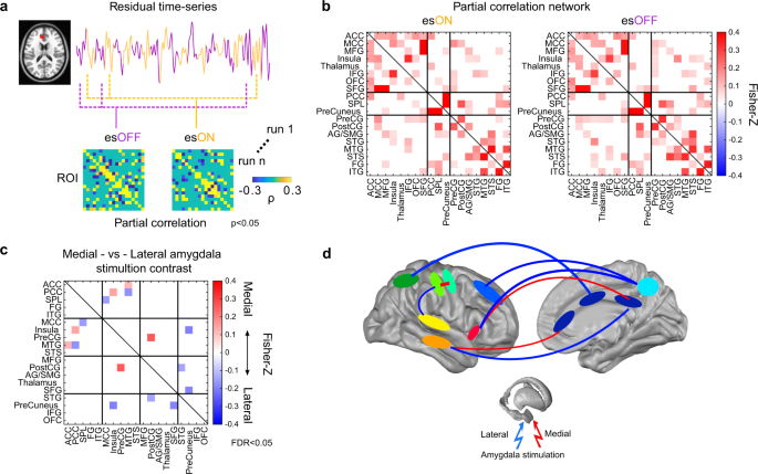 Fig. 7: Second-order connectivity analysis on the es-fMRI residual time series.