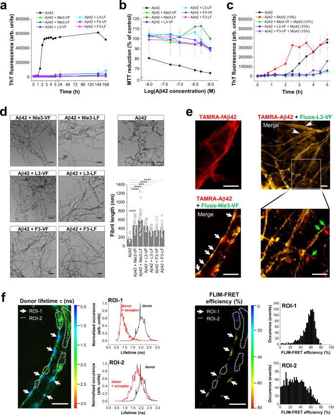 Fig. 6: Inhibition of Aβ42 amyloid self-assembly via ThT-invisible and non-toxic Aβ42/ACM nanofiber co-assembly.