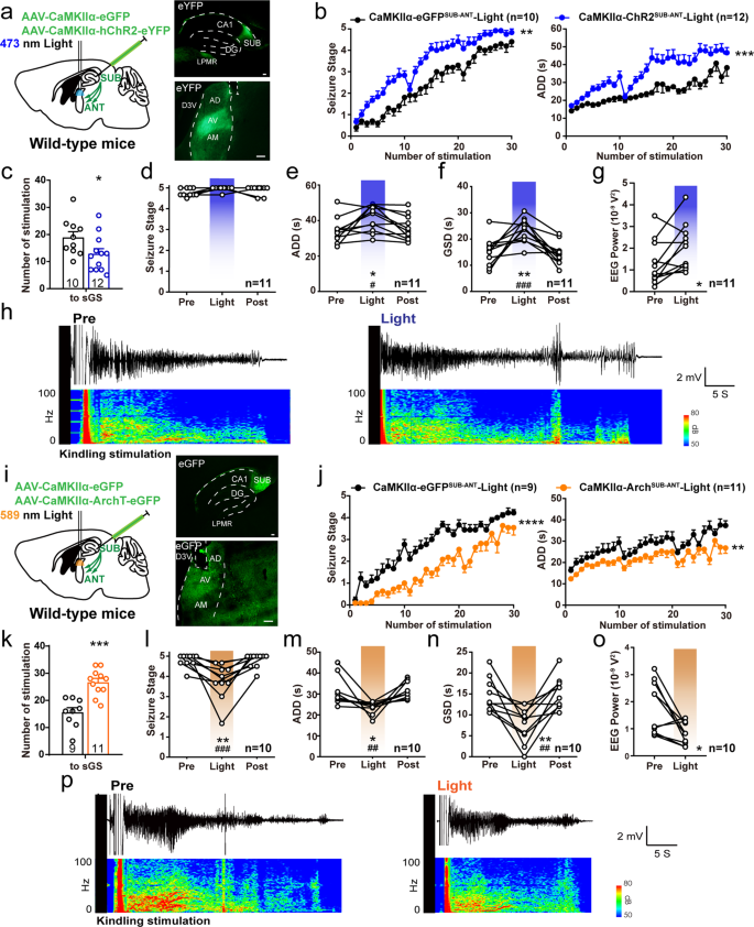 Fig. 2: SUB-ANT glutamatergic circuit bidirectionally mediates hippocampal seizures.