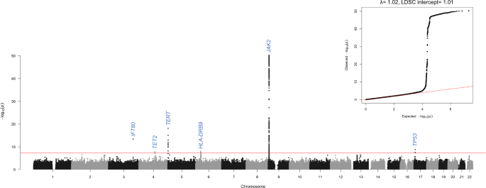 Fig. 1: Manhattan plot and quantile-quantile plot from the myelofibrosis genome-wide association study.