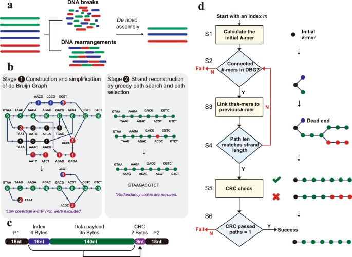 Fig. 1: De novo assembly-based strand reconstruction for DNA data storage.
