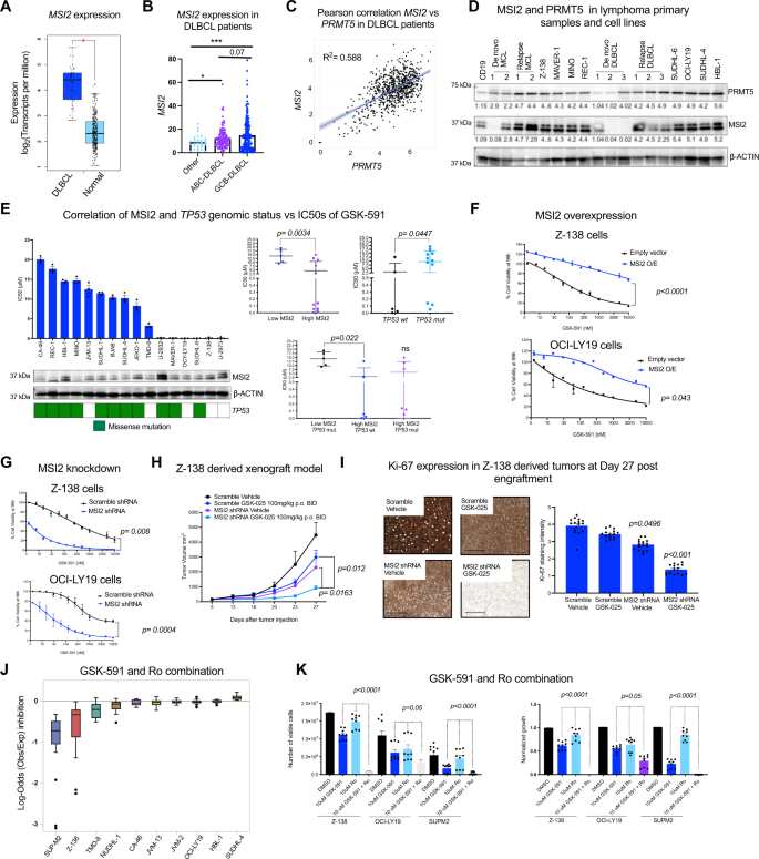 Fig. 3: MSI2 drives resistance to PRMT5 inhibition.