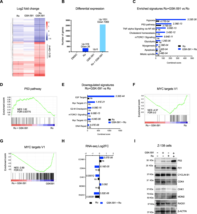 Fig. 4: Combination of Ro and GSK-591 induces synergistic transcriptome changes.