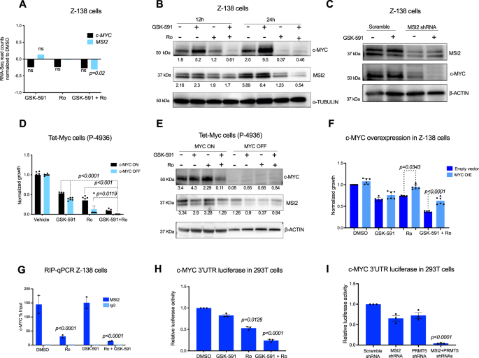 Fig. 5: MSI2 mediates PRMT5 resistance through control of c-MYC translation.