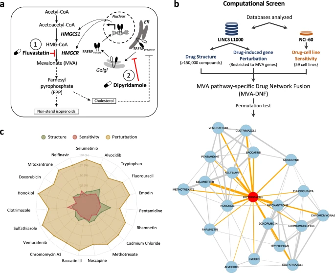 Computational pharmacogenomic screen identifies drugs