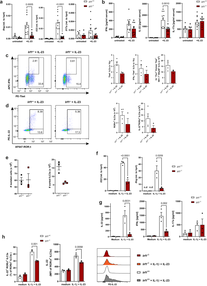Fig. 6: Irf1-/- ILCs fail to produce IL-22 and IFN-γ due to a cell intrinsic defect.