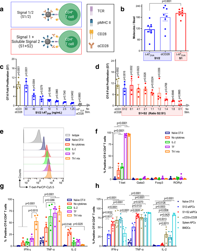 Nanoparticle-based modulation of CD4+ T cell effector and helper functions  enhances adoptive immunotherapy | Nature Communications