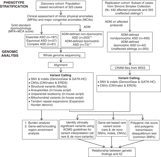 Fig. 1: Project workflow.
