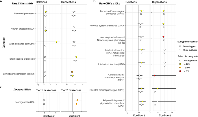 Fig. 2: Gene sets for which de novo and rare coding variants are significantly more prevalent in some subtypes of ASD.