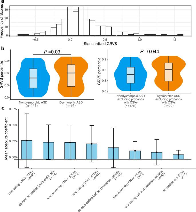 Fig. 3: Genome-wide rare variant score in ASD subtypes.