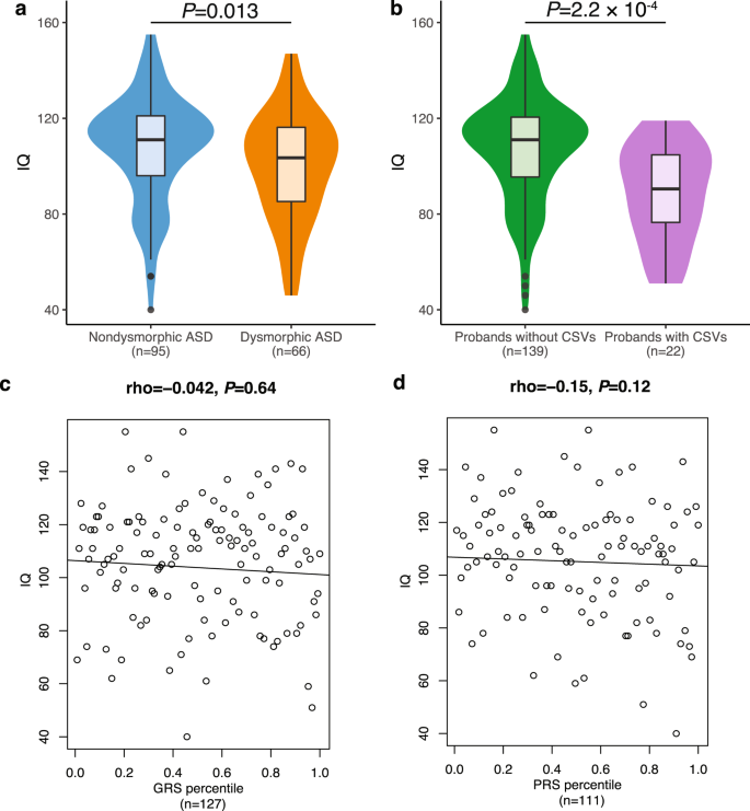Fig. 5: Relationship between IQ, morphological ASD subtypes and genetic variants.