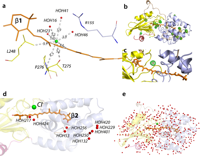 Fig. 2: Identifying Cl− location.