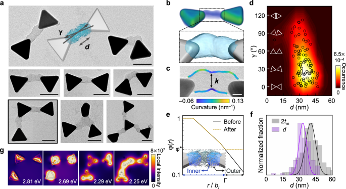 Fig. 4: Self-limited assembly of single-patch prisms by patch‒patch interpenetration.
